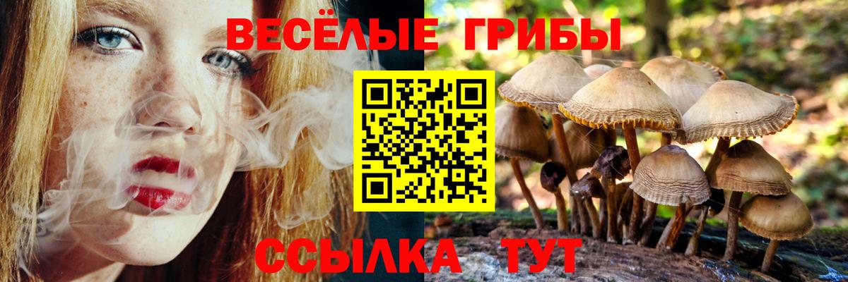 Псилоцибиновые грибы мицелий  Галлюциногенные грибы мухоморы  Вичуга  Вход с VPN 