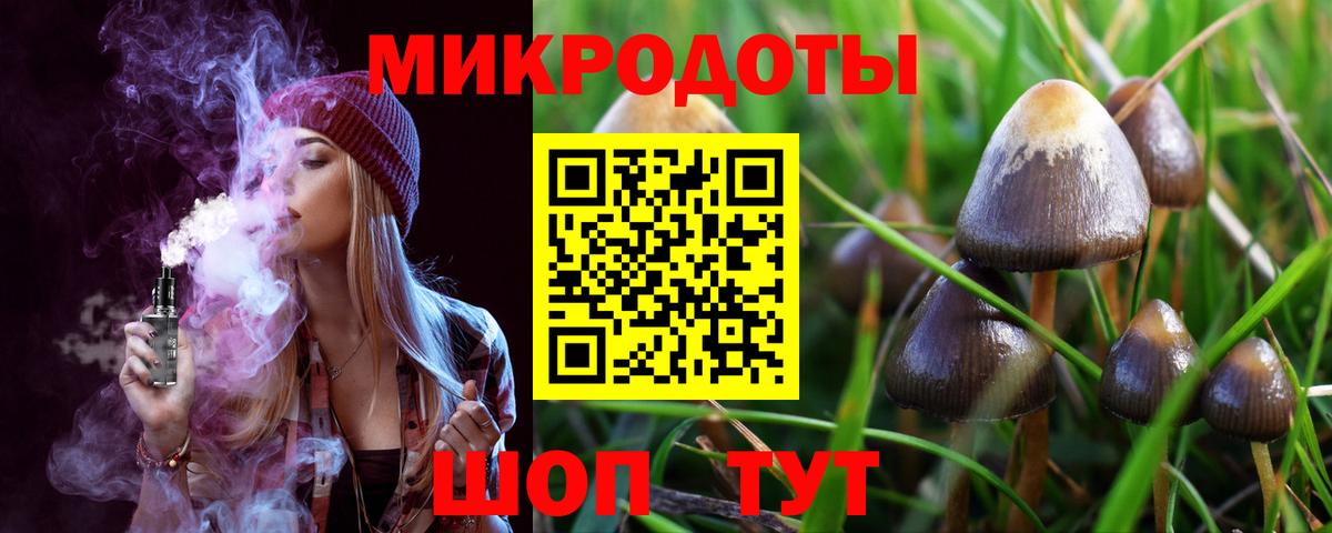 Псилоцибиновые грибы MAGIC MUSHROOMS Вичуга